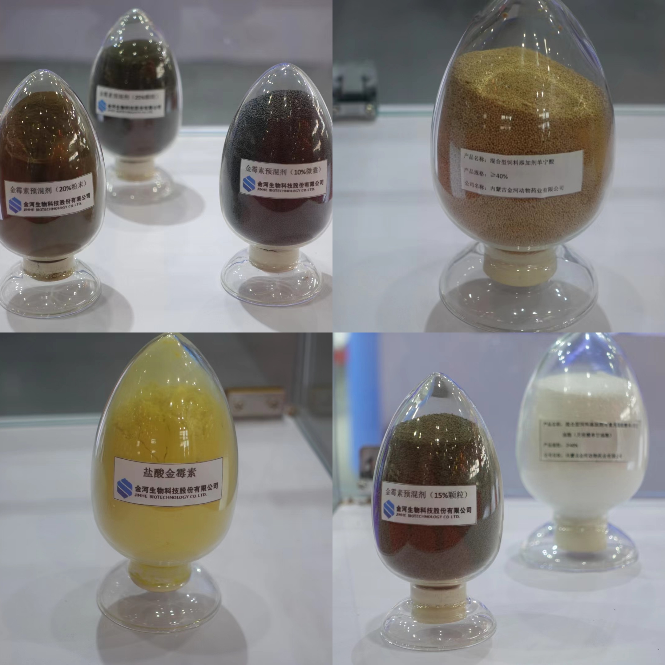 w88win优德(中国)官方网站