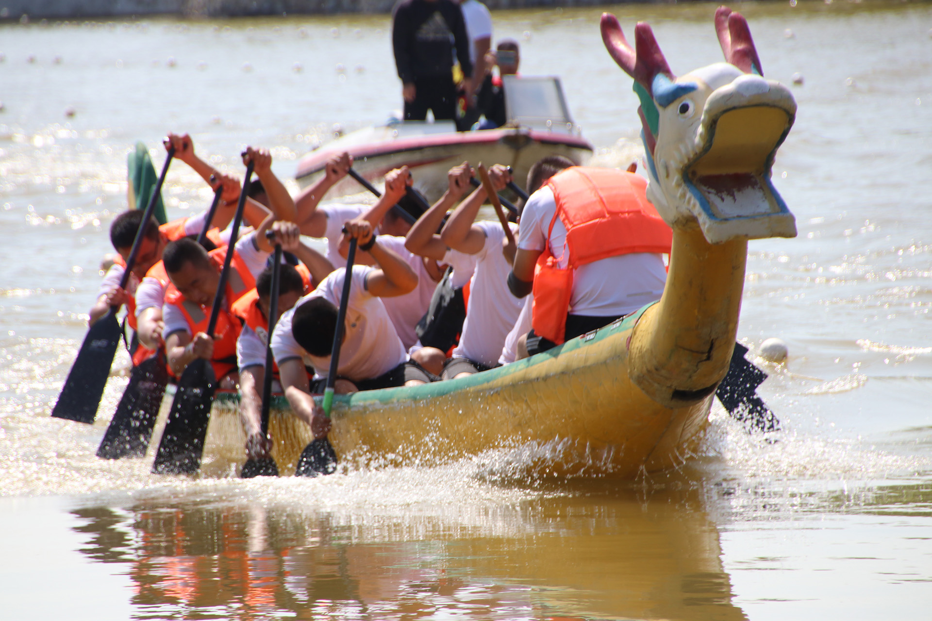 w88win优德(中国)官方网站