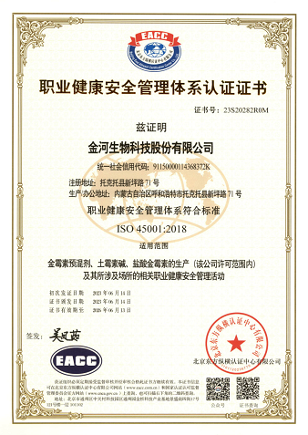 职业健全安全治理系统认证证书